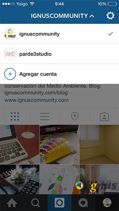 IGNUS Community cuentas instagram