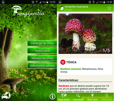 IGNUS Community app naturalista