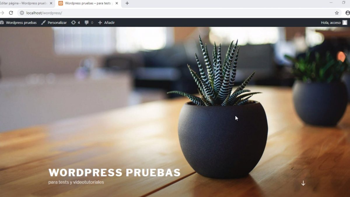 Recuperar versión anterior Wordpress 5.0 IGNUS Community Desarrollo Web Sevilla