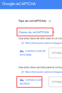 Google reCAPTCHA v3 Ignus Community desarrollo web Sevilla